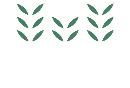 plante6